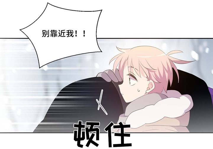 第81章：那条龙