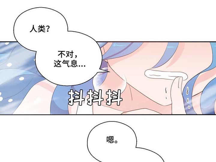 第81章：那条龙