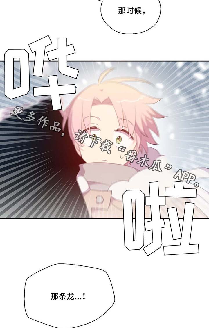 第81章：那条龙