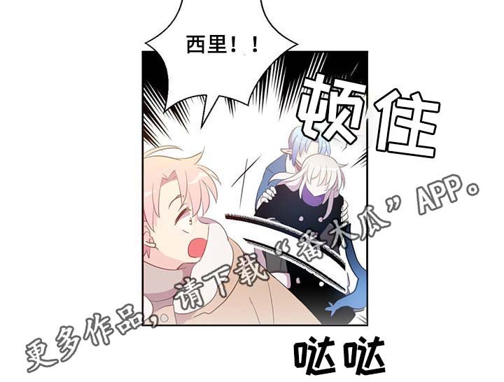 第86章：宽容大度