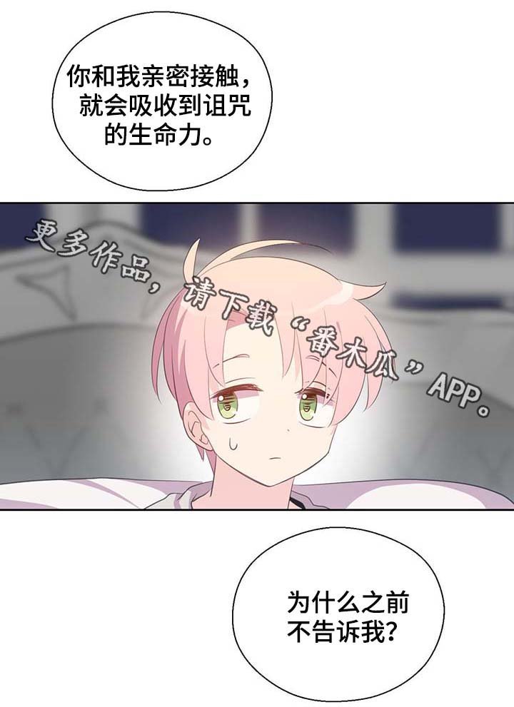 第96章：不会再碰你
