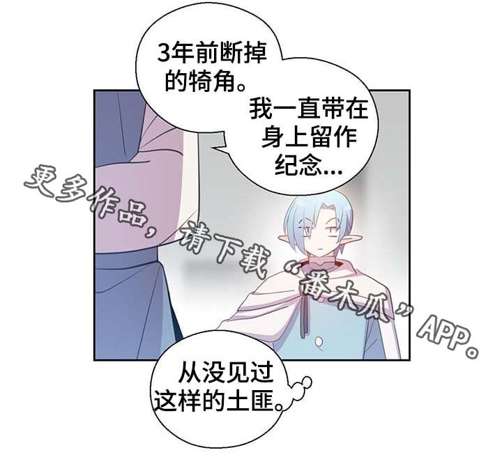 第97章：亲自去查看