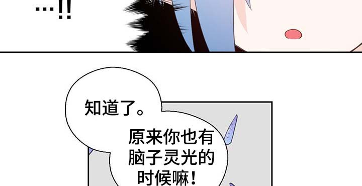 第97章：亲自去查看