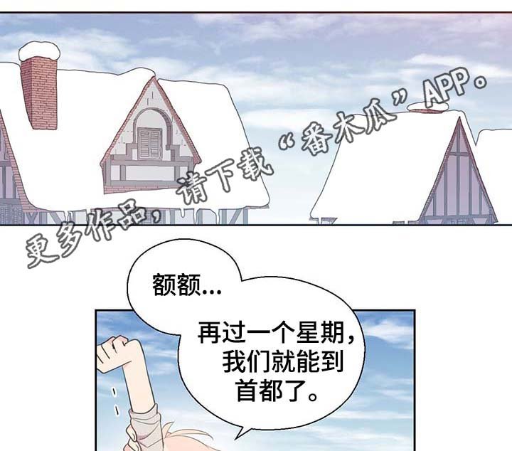 第97章：亲自去查看