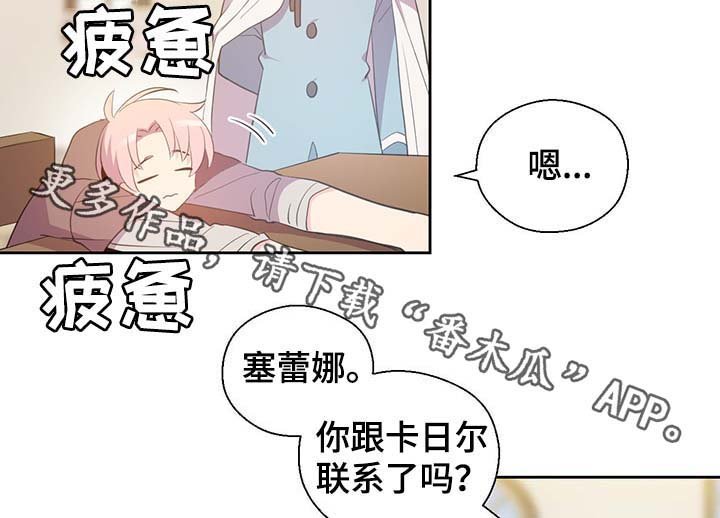 第99章：发生了什么