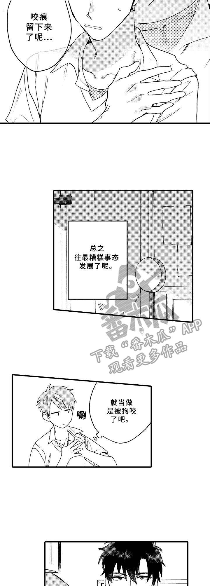 第6章：临时交往