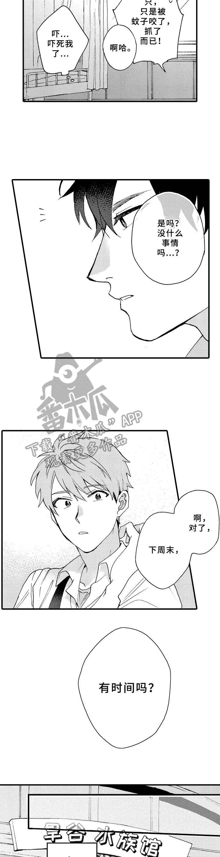 第6章：临时交往