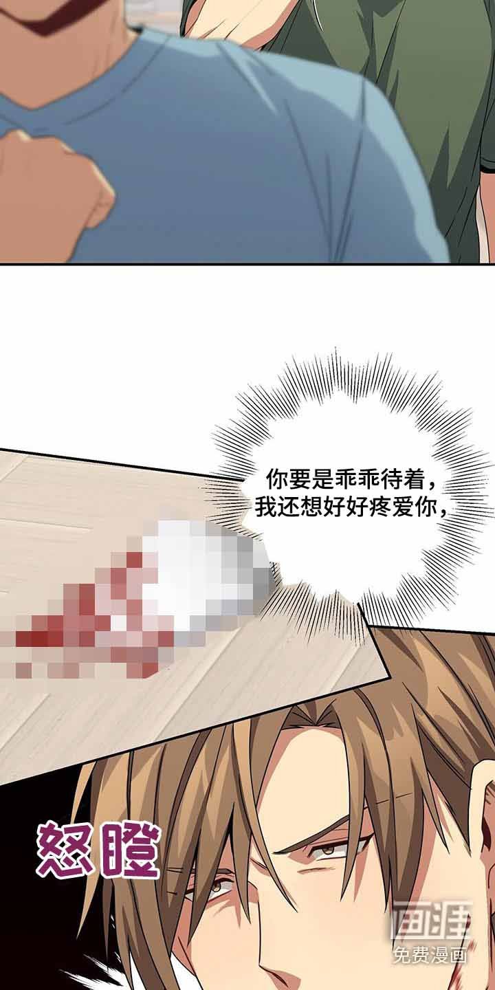 第112章：碎片