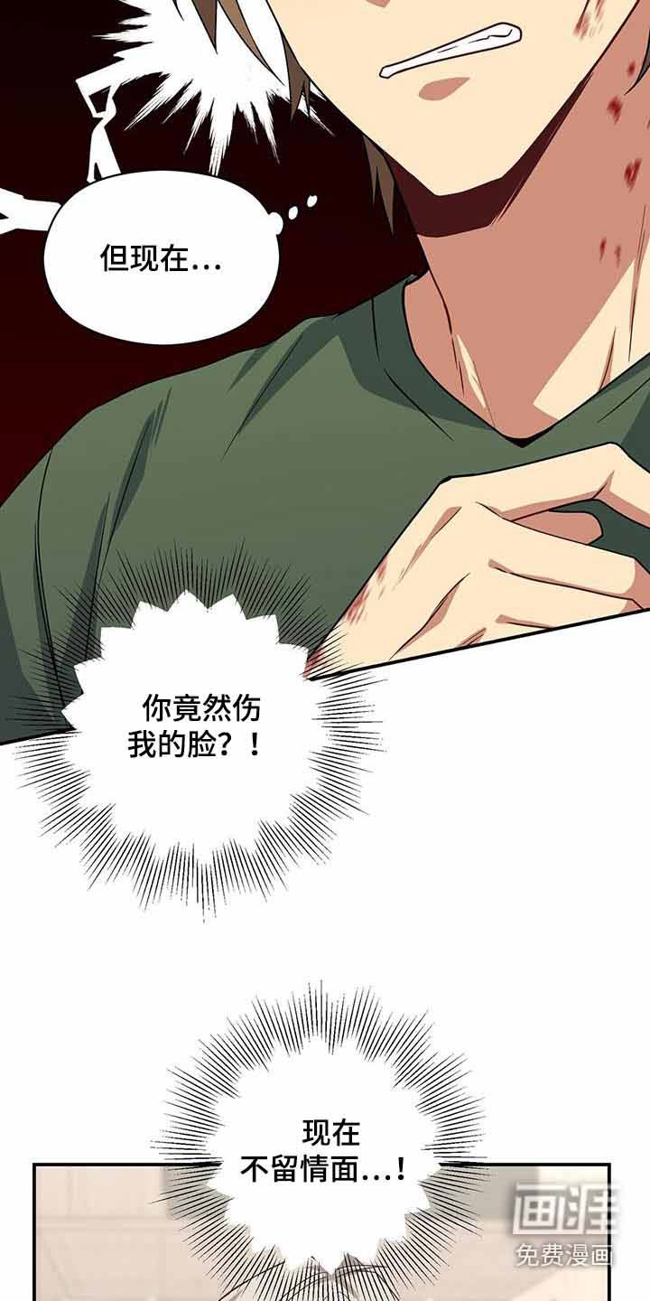 第112章：碎片