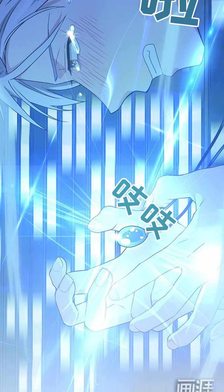 第114章：第二次机会