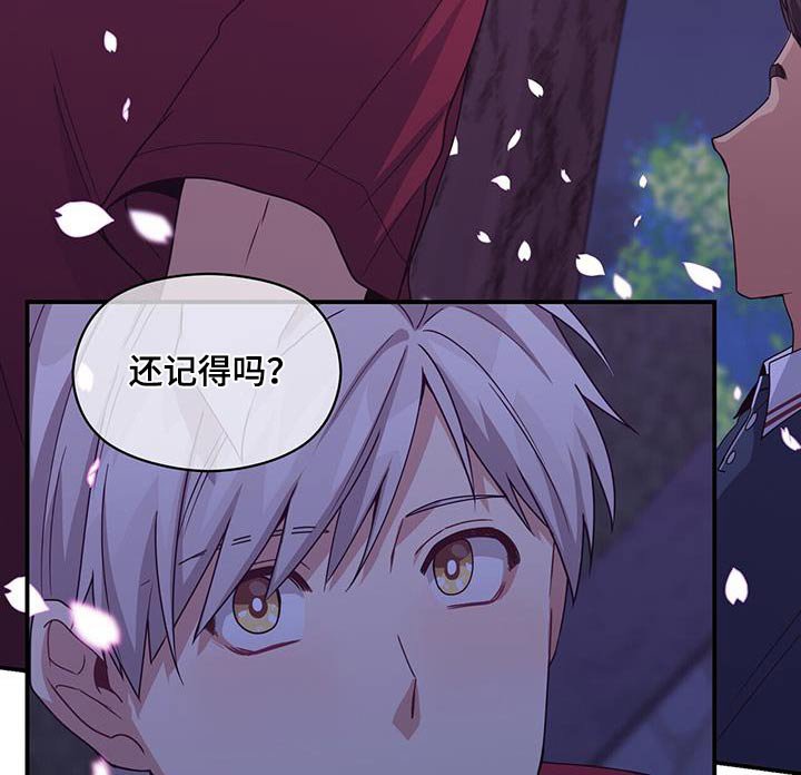第121章：对不起