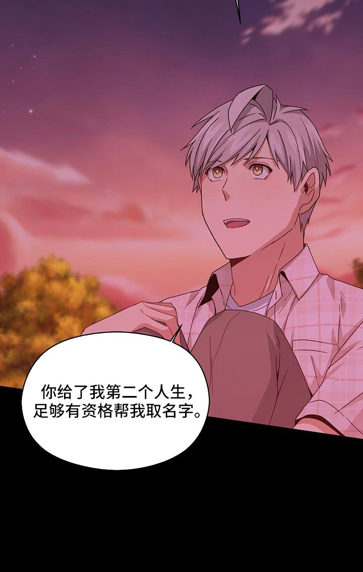第126章：付出伤害我的代价