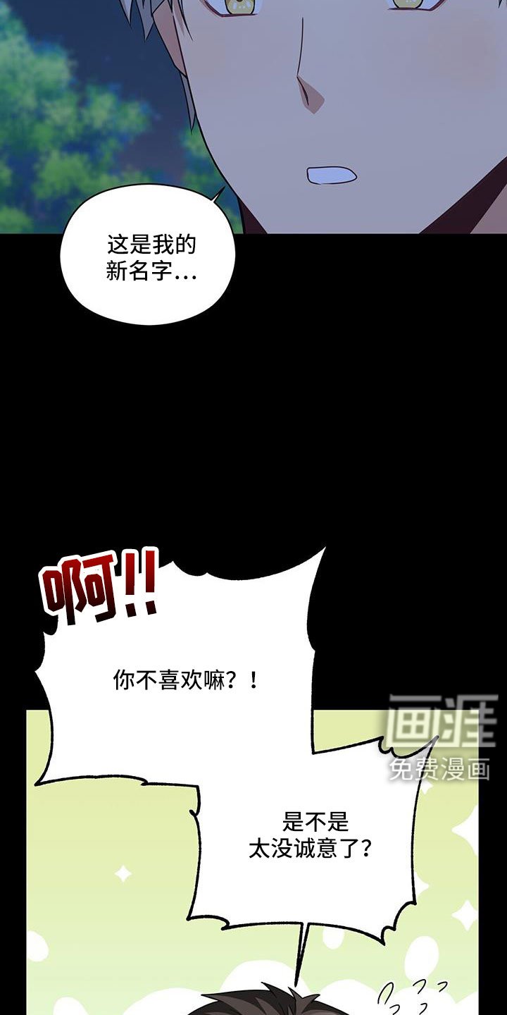 第126章：付出伤害我的代价