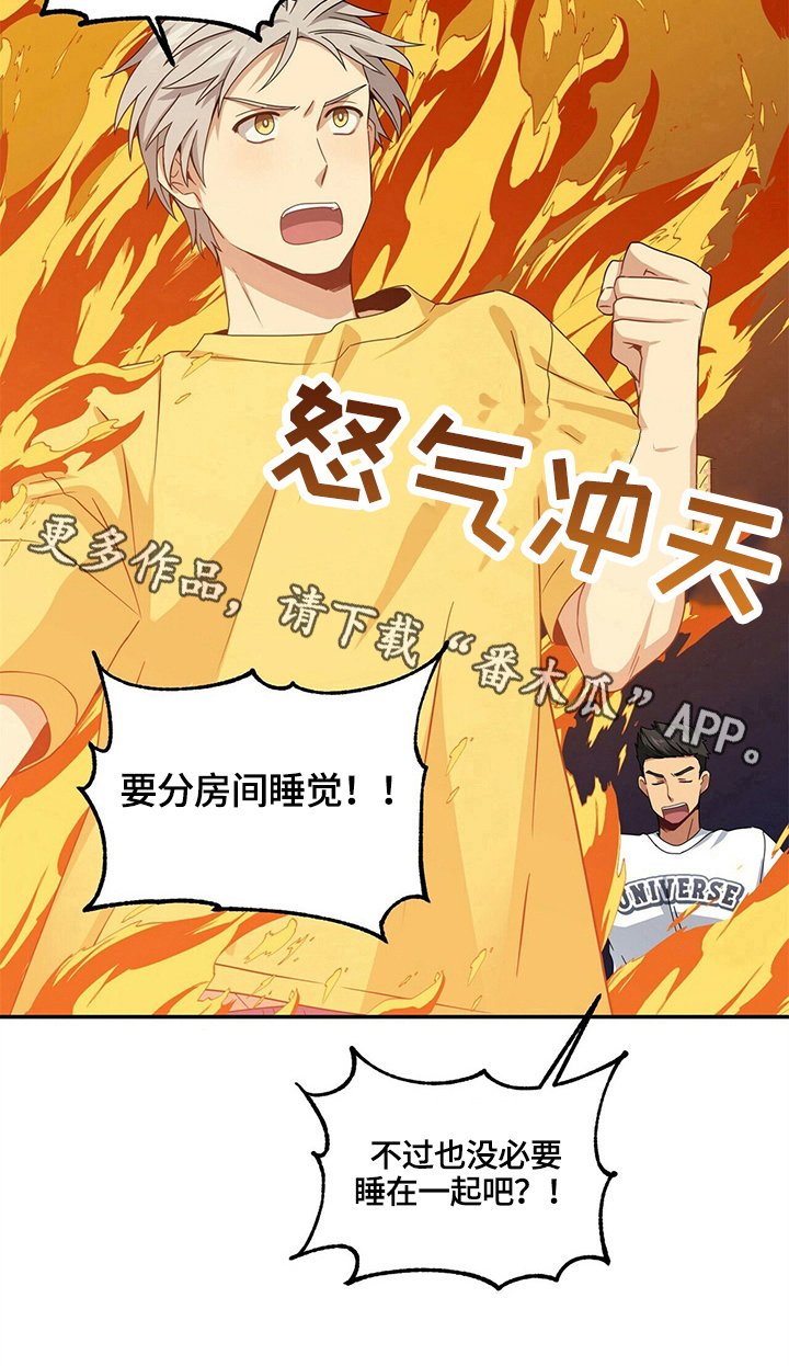 第13章：决心