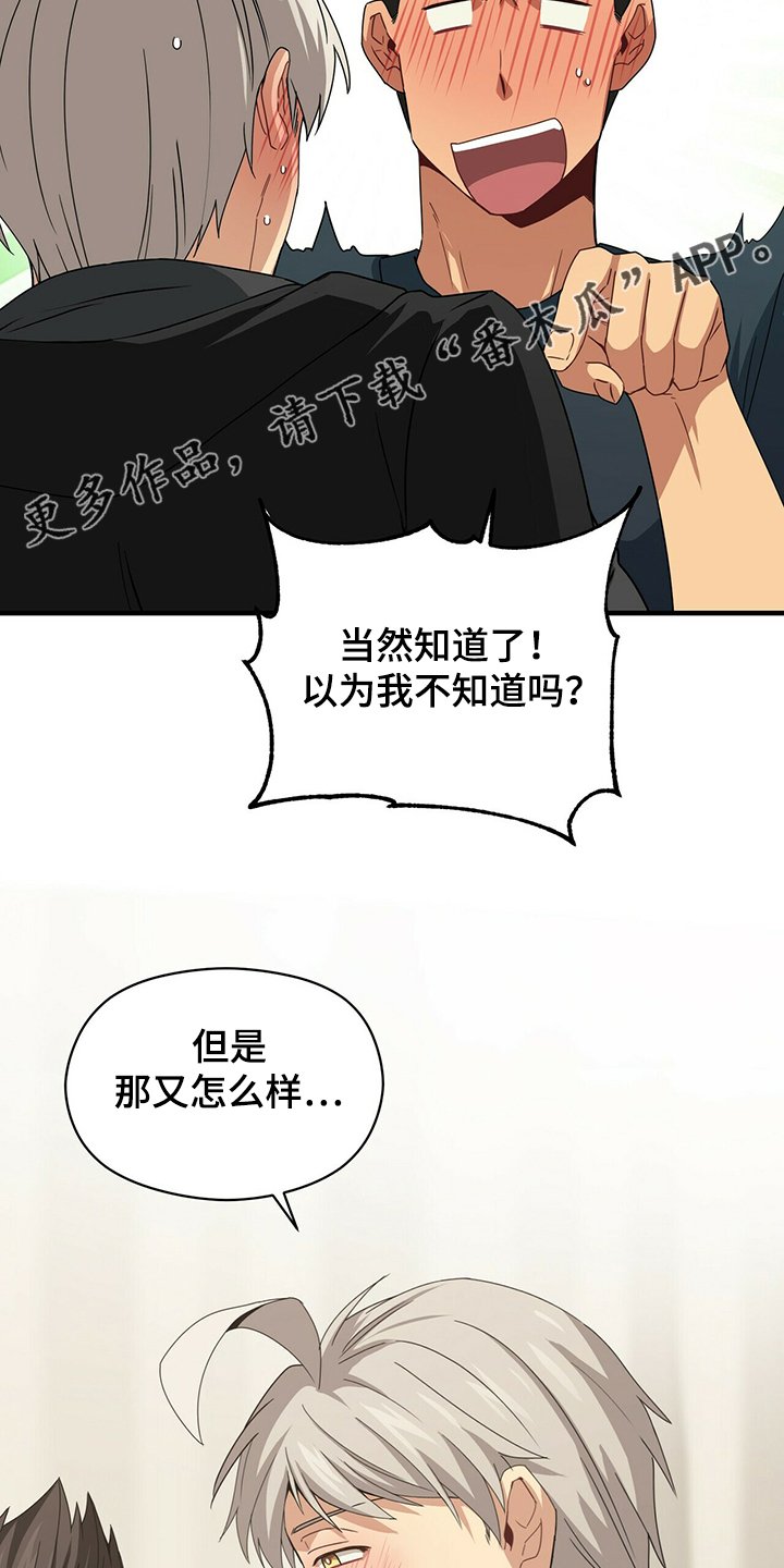 第54章：补充条约