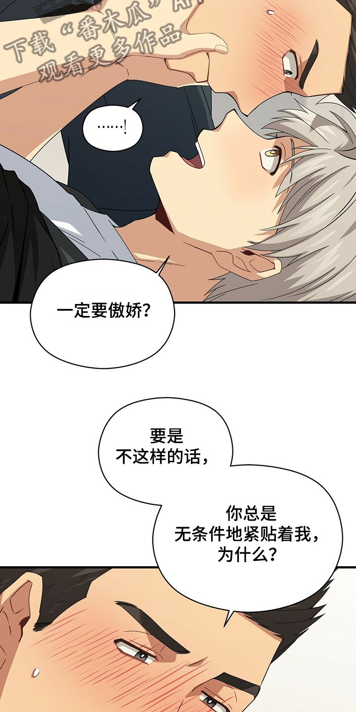 第54章：补充条约
