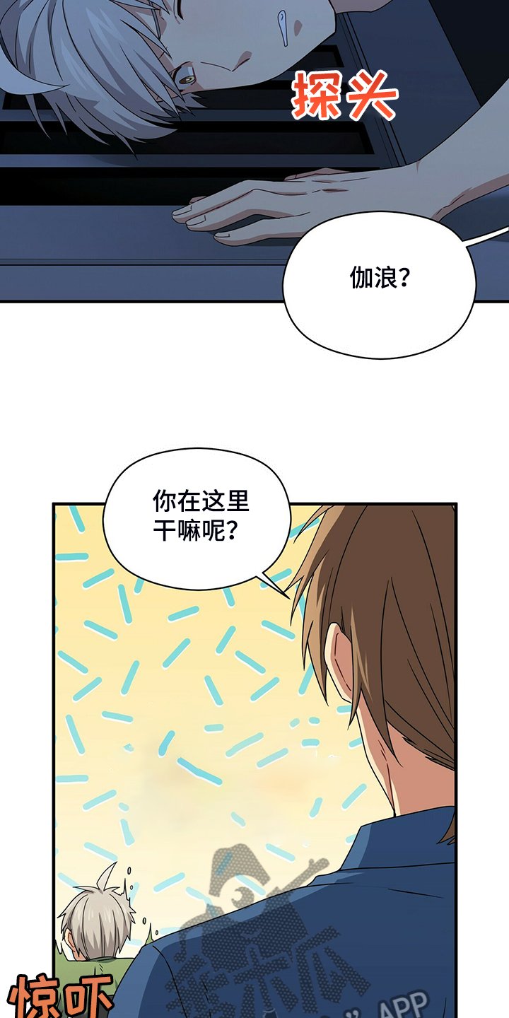 第66章：寻找失物