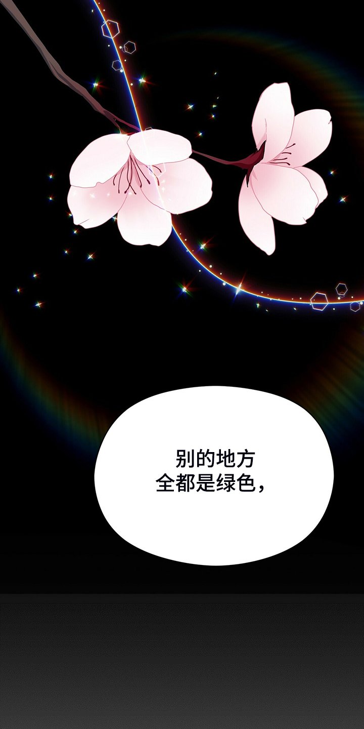 第70章：观察日记