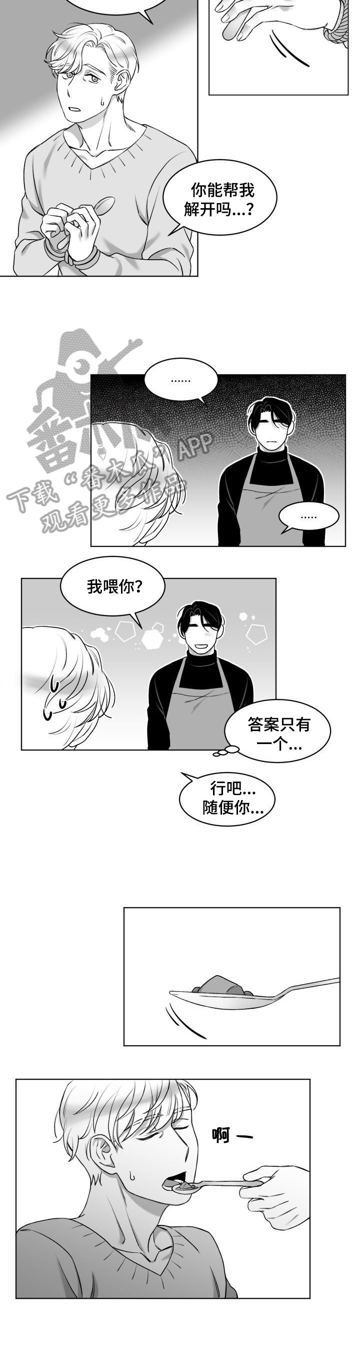 第9章：喂食