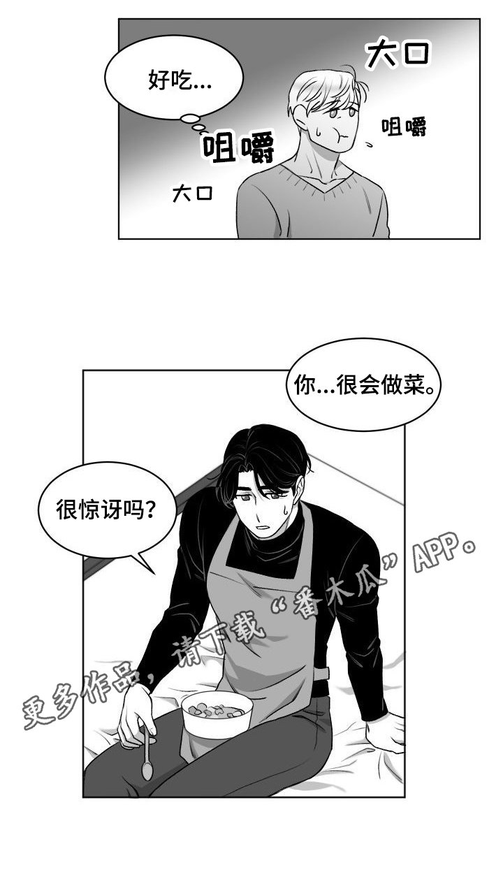 第9章：喂食