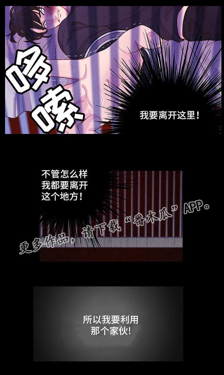 第11章：想要什么