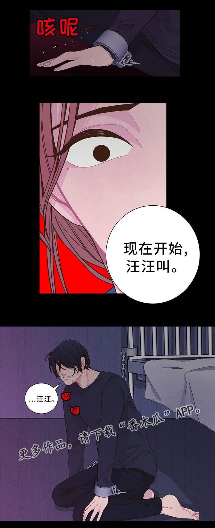 第18章：太奇怪了