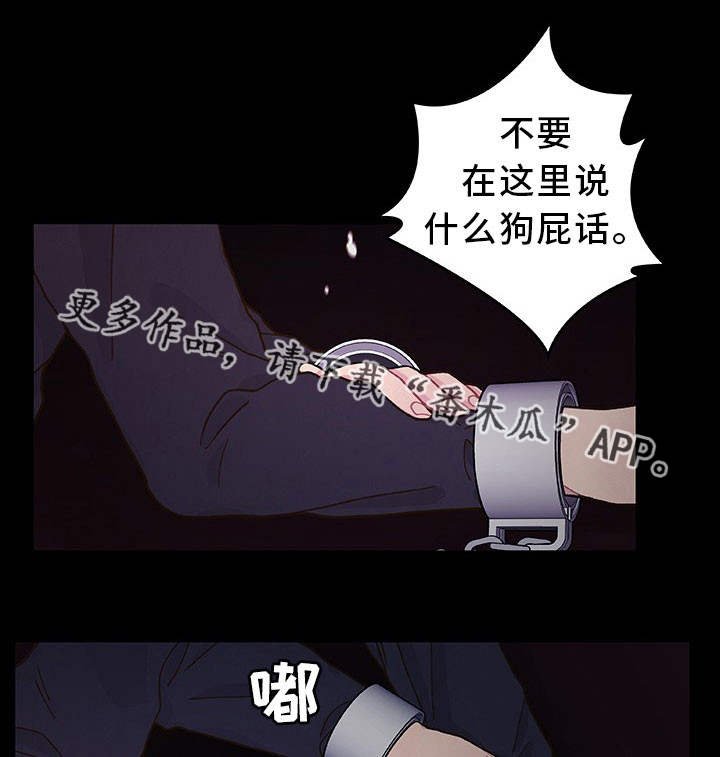第20章：选择权利