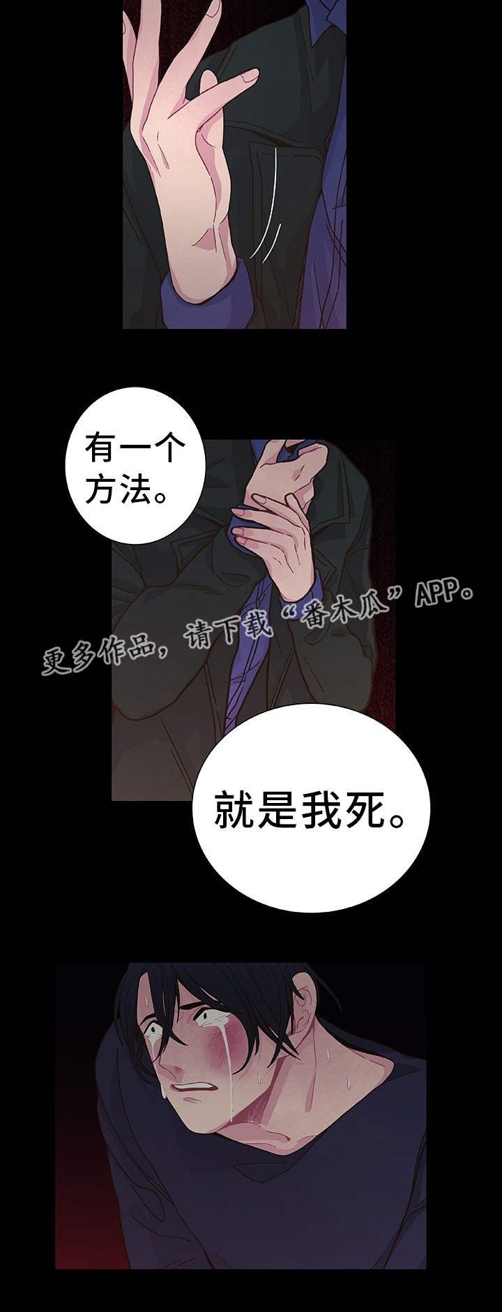 第20章：选择权利