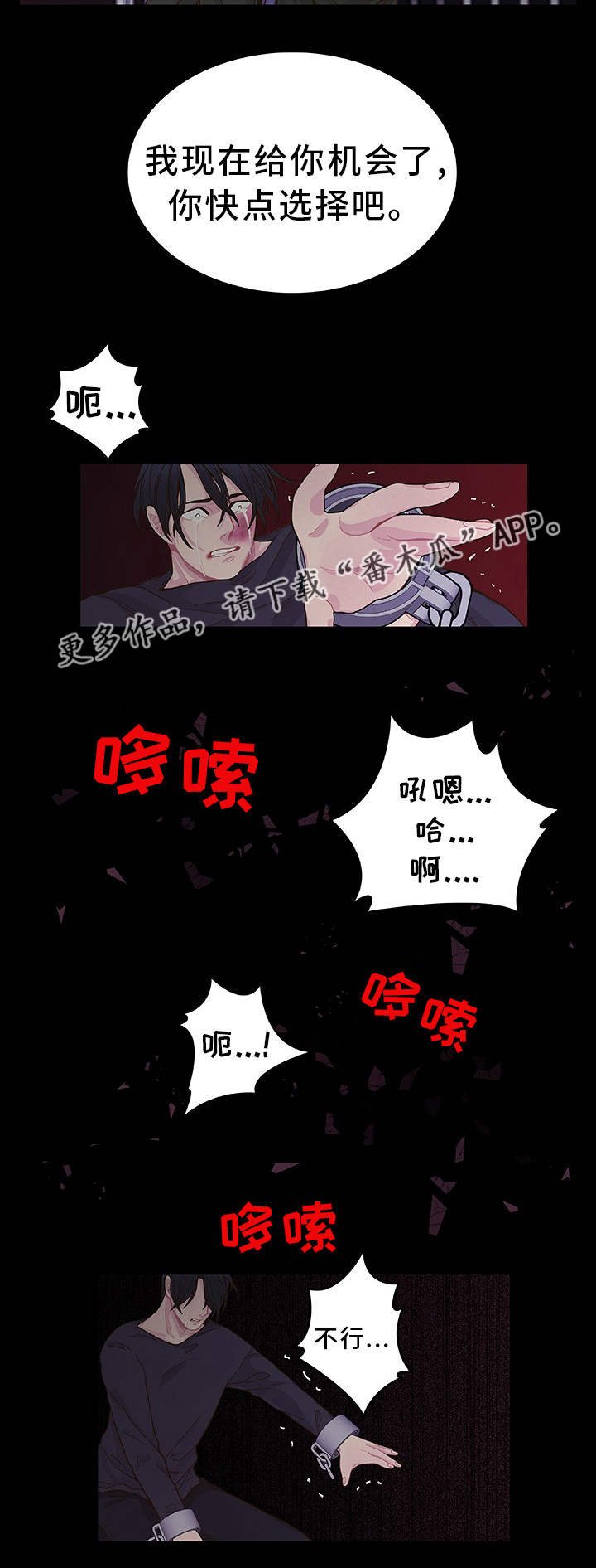 第20章：选择权利