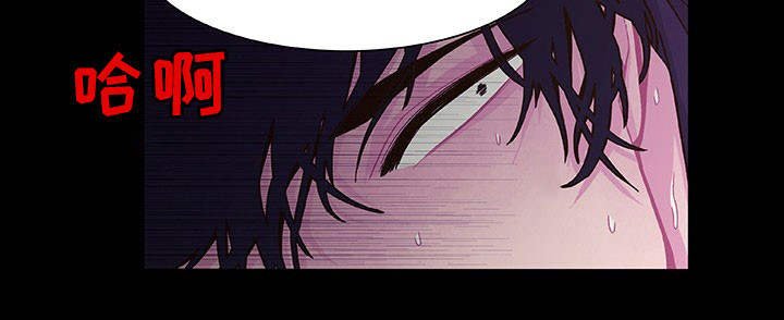 第24章：给你奖励