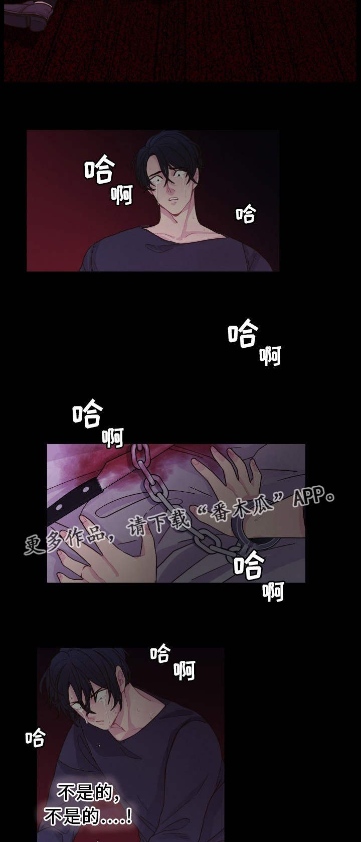 第28章：最后一次