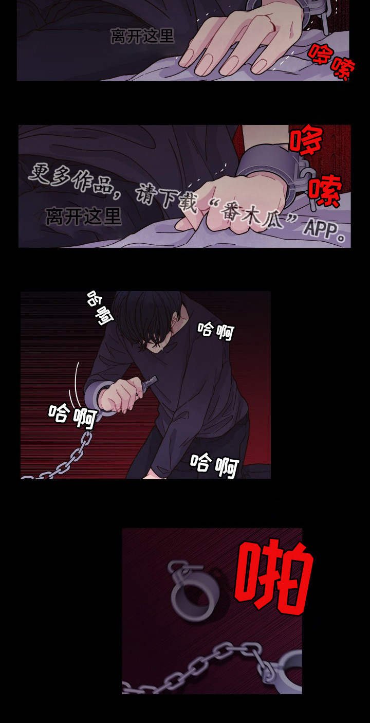 第28章：最后一次