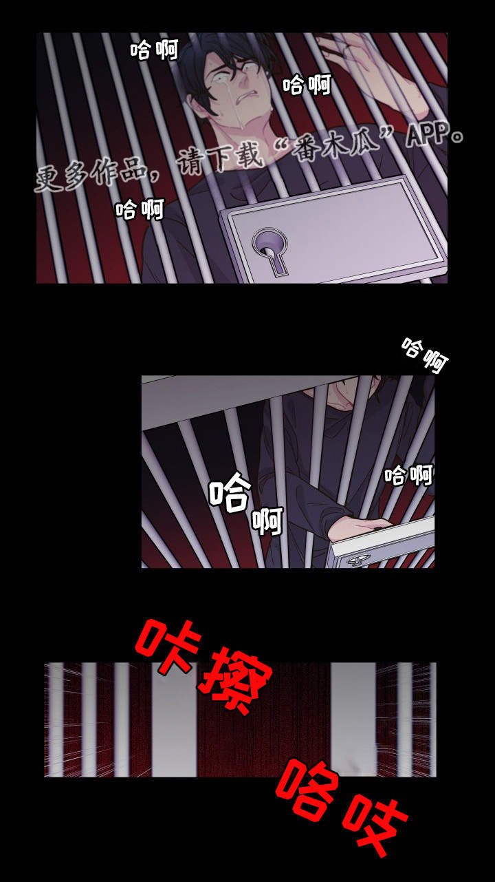 第28章：最后一次