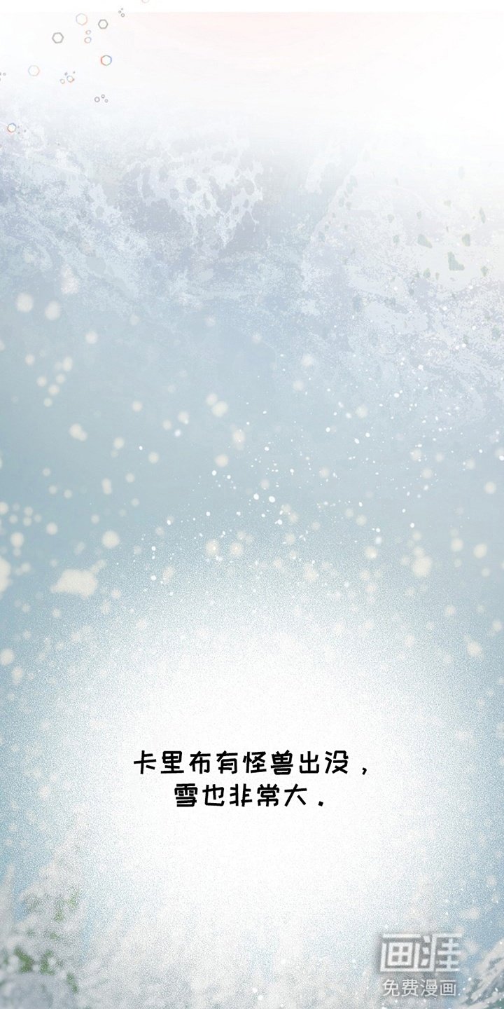 第1章：雪地里的少年