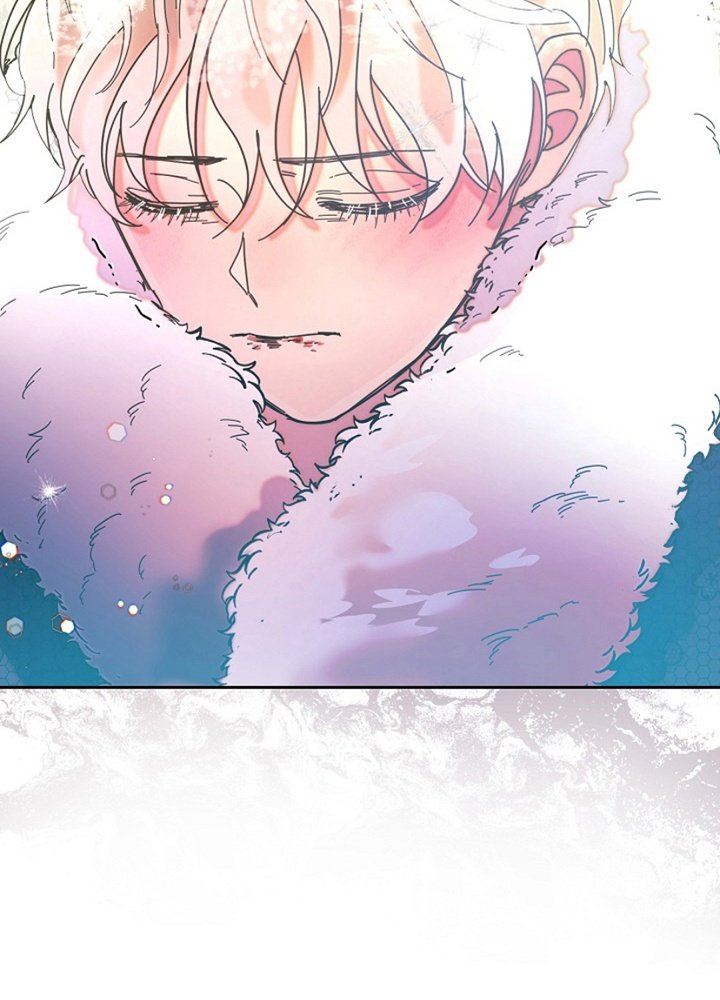 第1章：雪地里的少年
