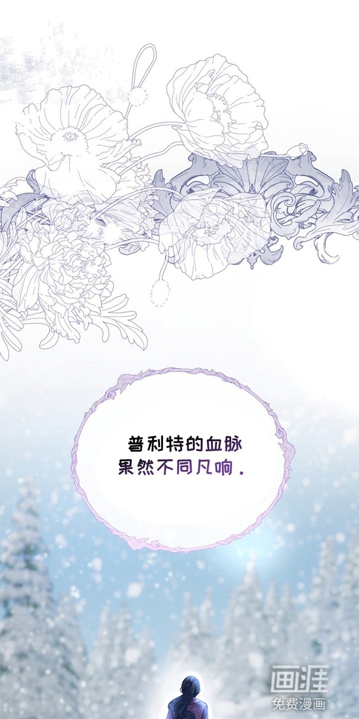 第1章：雪地里的少年