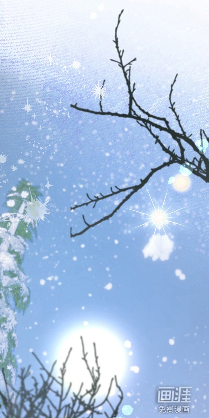第1章：雪地里的少年