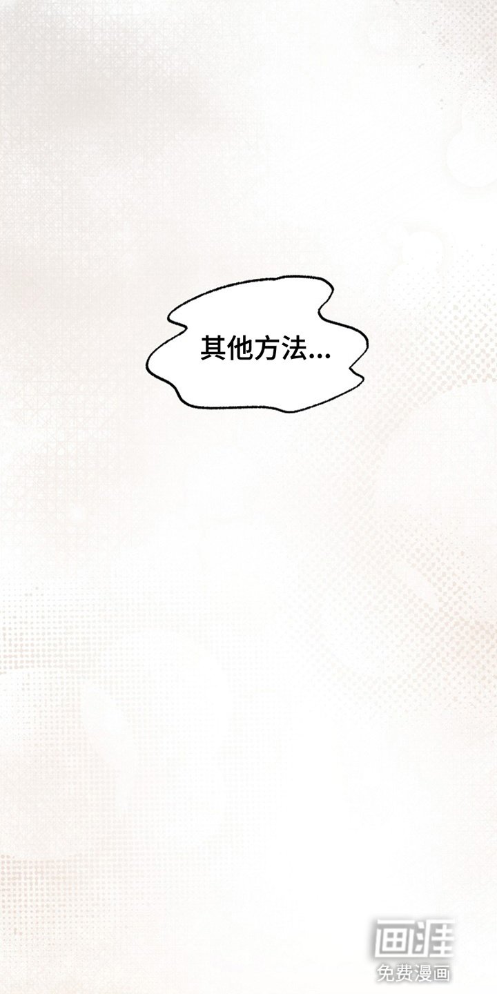 第5章：伪装