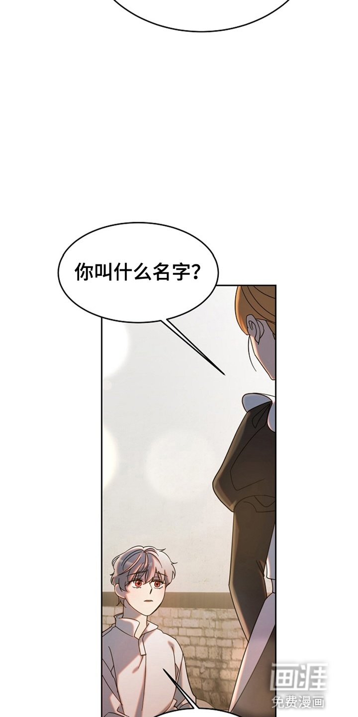 第5章：伪装