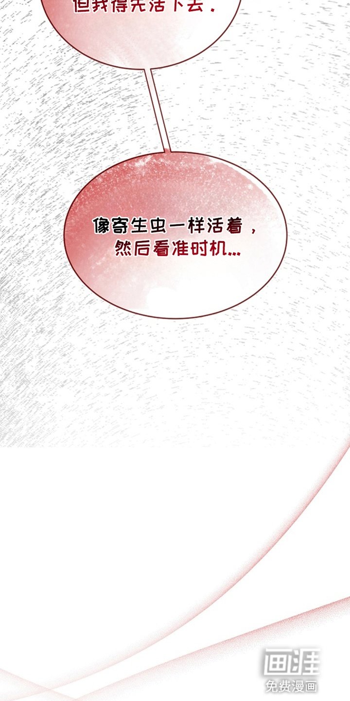 第5章：伪装