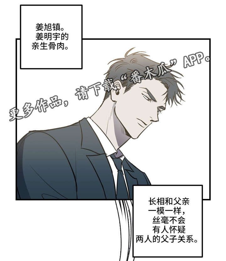 第17章：冉冉升起的星星