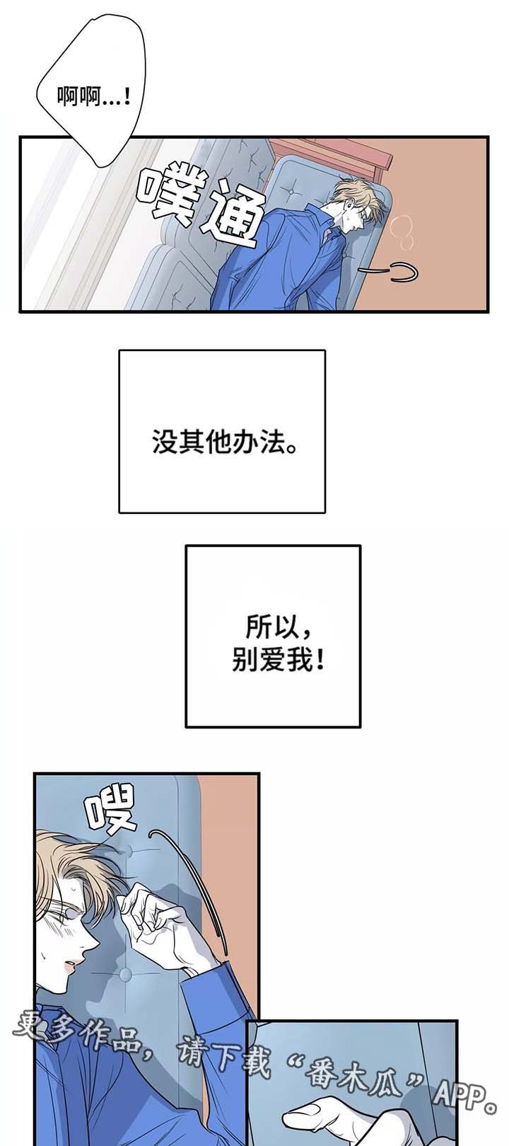 第29章：别爱我