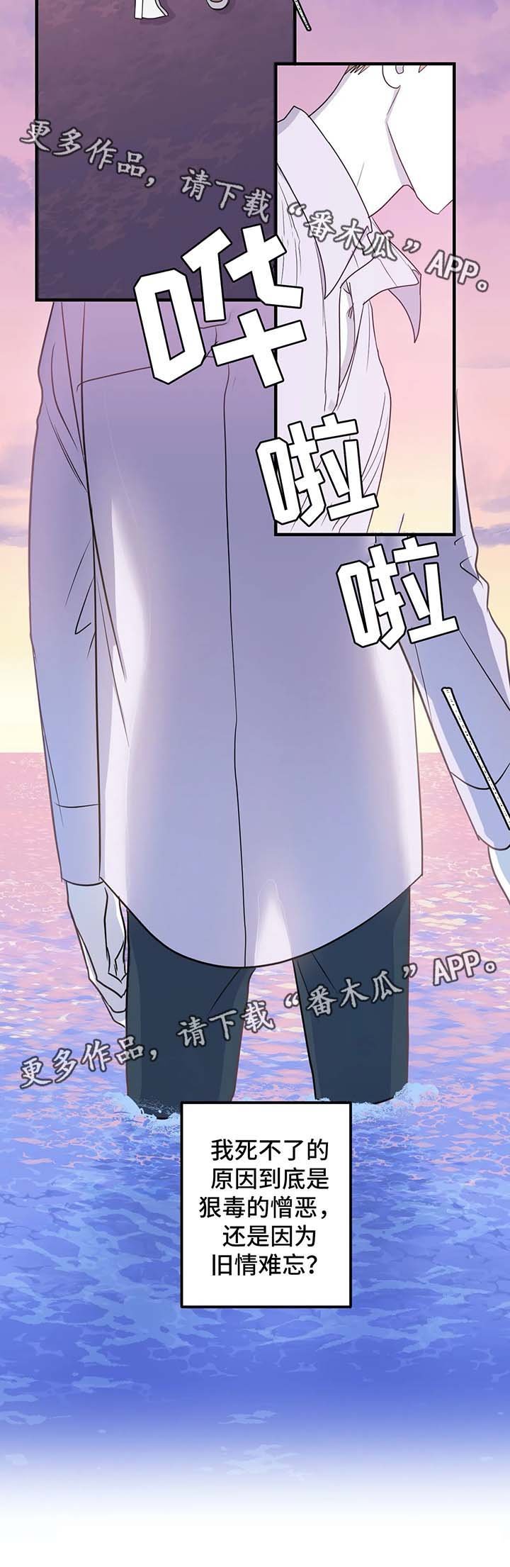 第47章：寻找