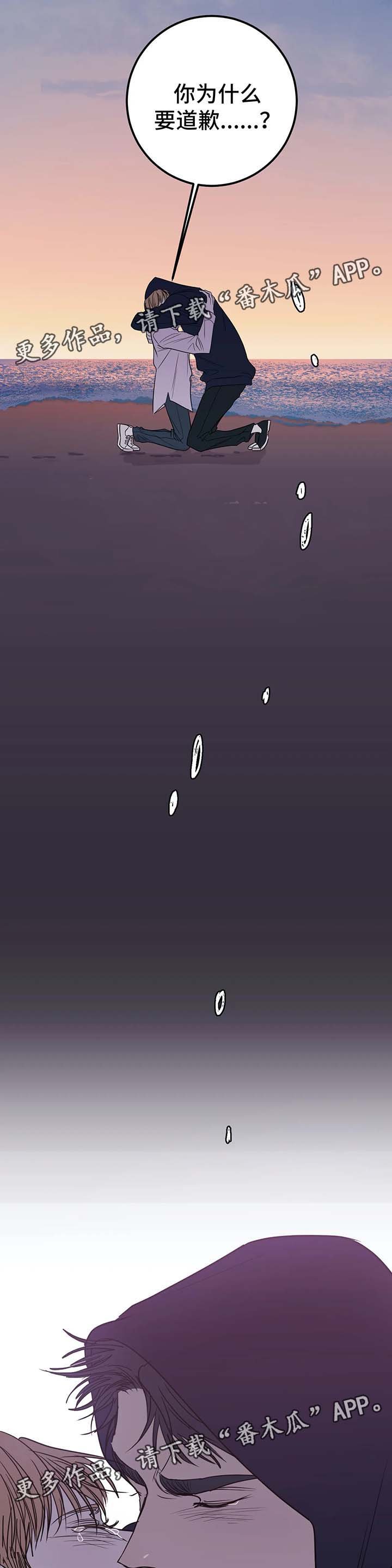 第49章：为什么要道歉