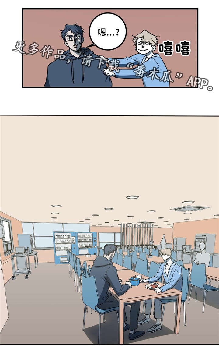 第8章：你疯了吗？