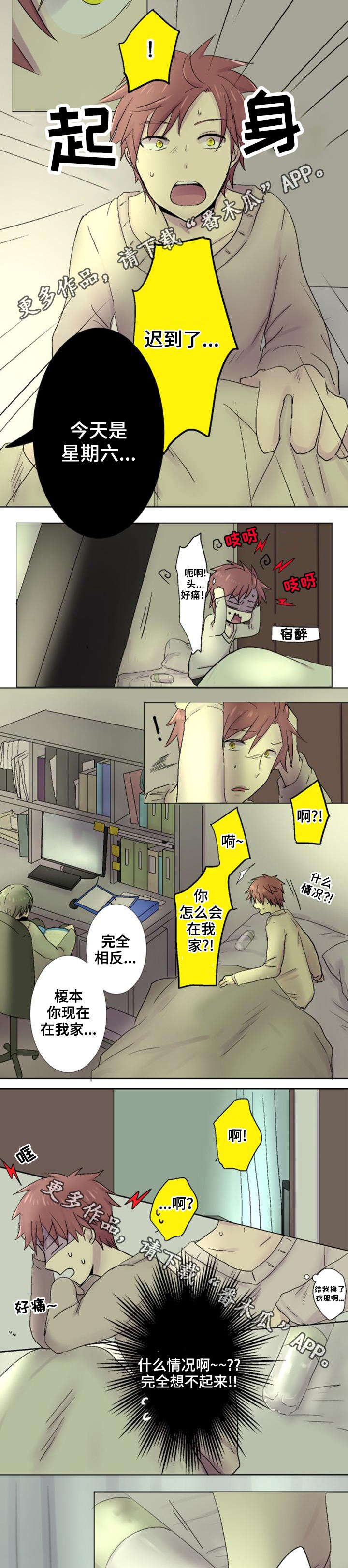 第28章：解释