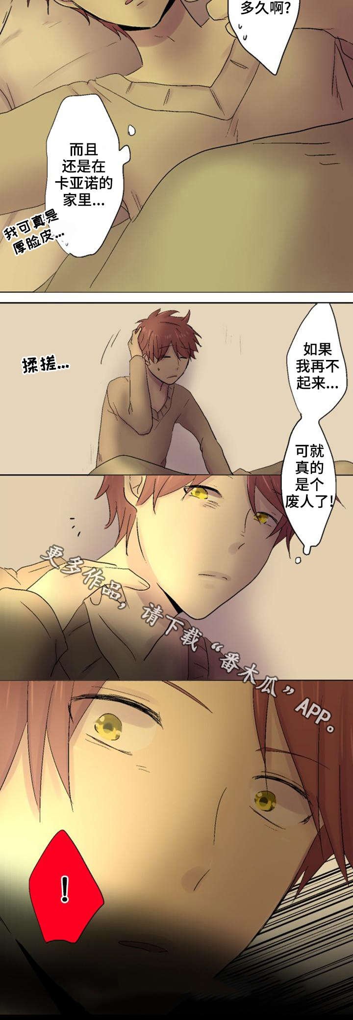 第28章：解释