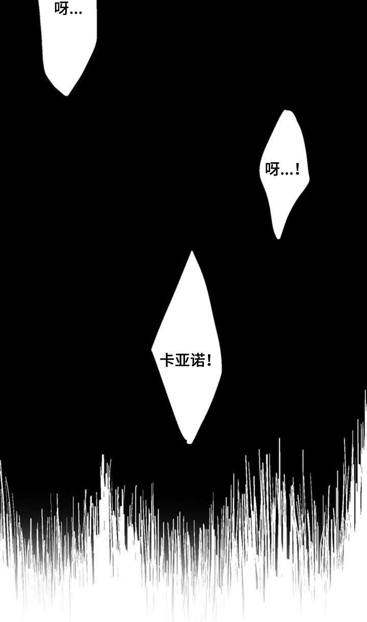 第28章：解释