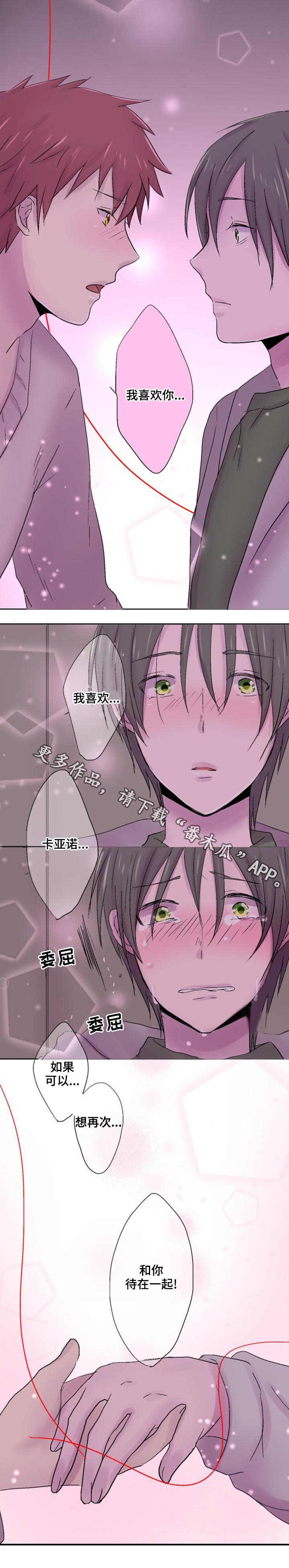 第31章：表白