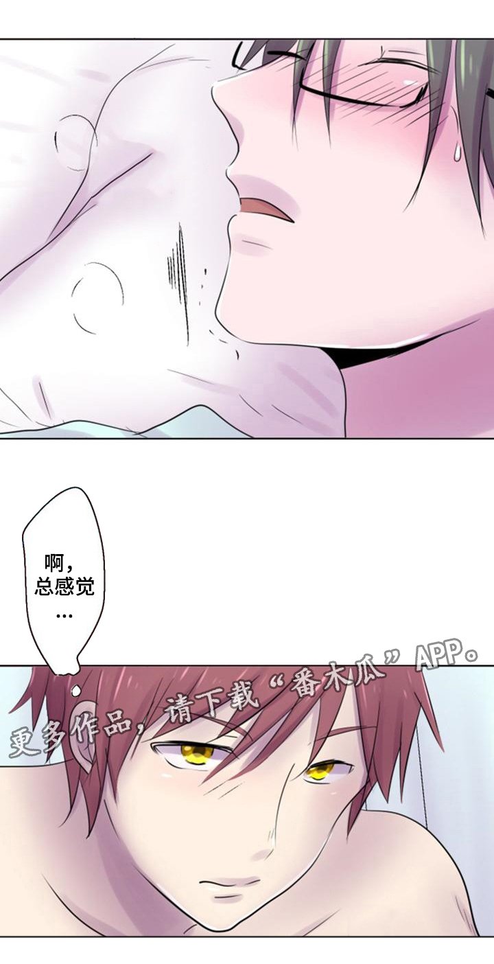 第33章：想法